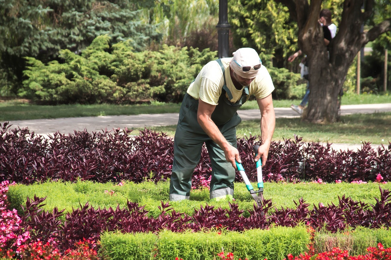 Jardinero dado de alta como trabajador del hogar