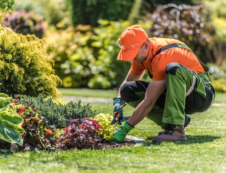Nóminas y contratos para trabajador del hogar